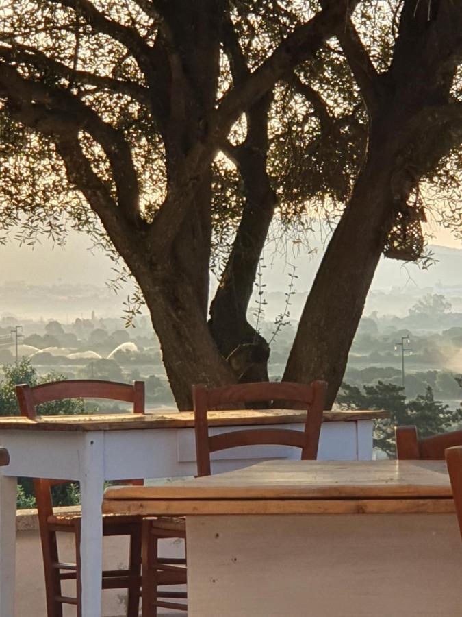 Bed and Breakfast Nacchinono Olbia Exterior foto